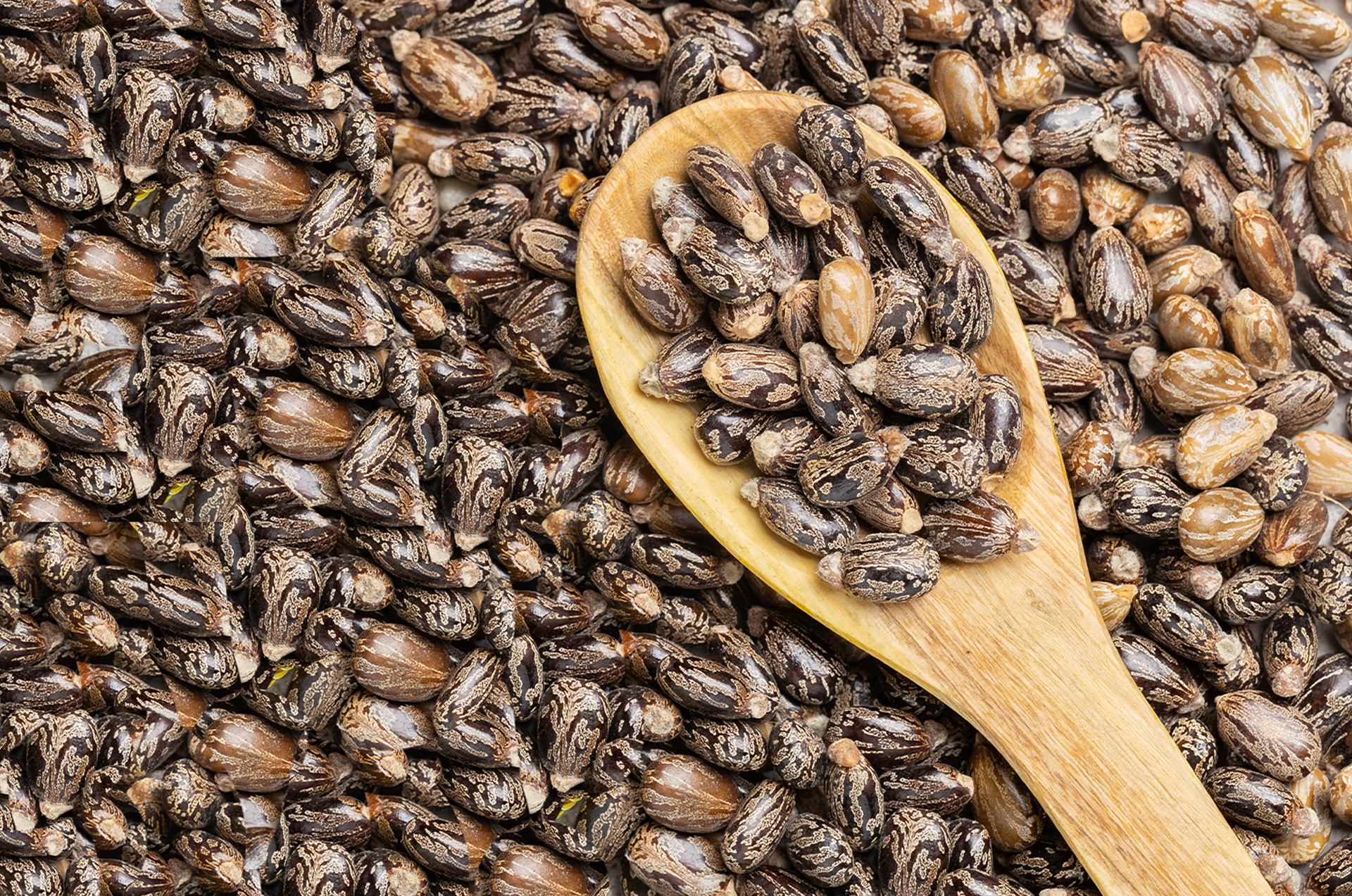 Castor Oil